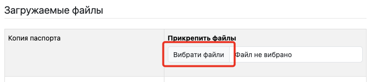 Кнопка «Выбрать файлы» в разделе загрузки копии паспорта в кабинете Western Bid