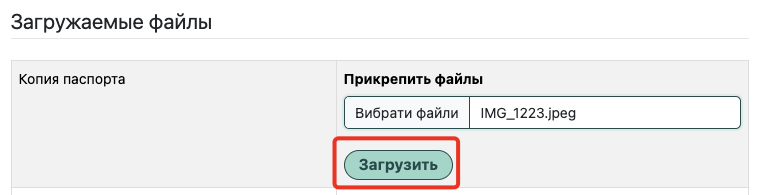 Кнопка «Загрузить» после выбора файла документа в кабинете Western Bid